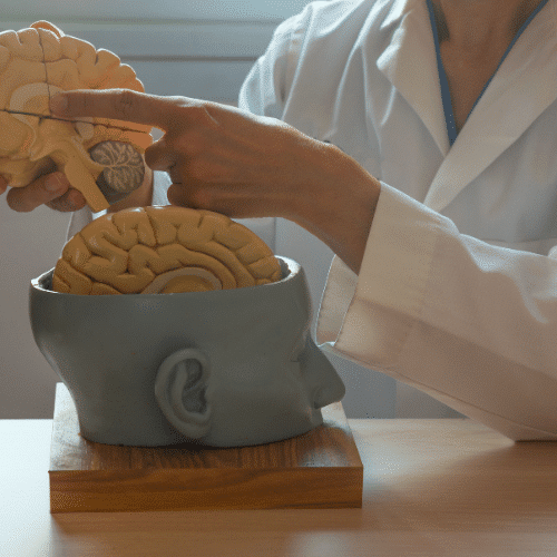 What is a Dual Trained Vascular Neurosurgeon?