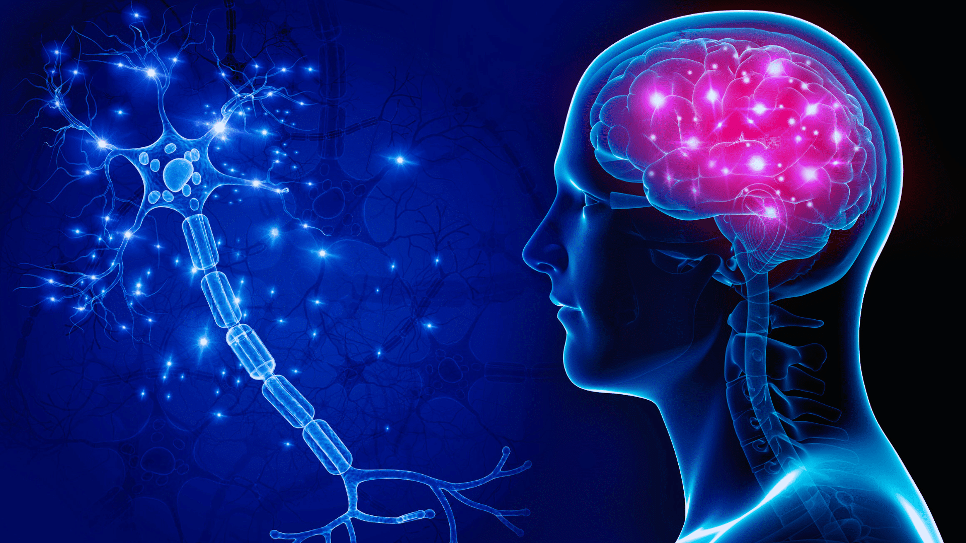Brain Arteriovenous Malformation